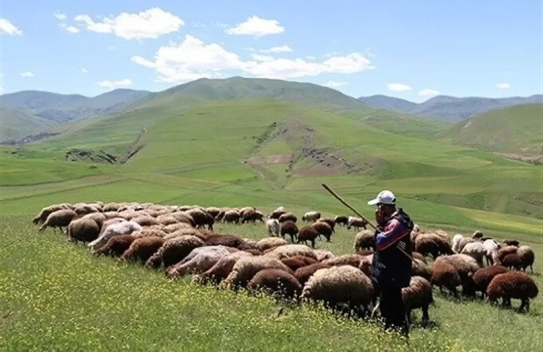 آغاز کوچ عشایر از قشلاق به مناطق ییلاقی لرستان