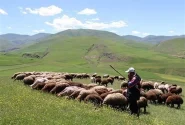 آغاز کوچ عشایر از قشلاق به مناطق ییلاقی لرستان