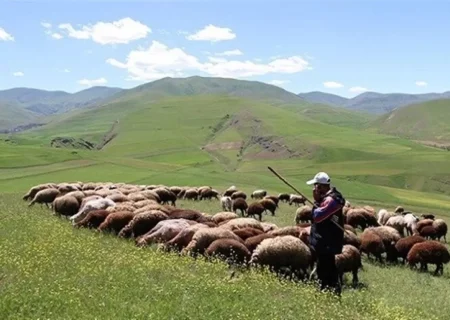 آغاز کوچ عشایر از قشلاق به مناطق ییلاقی لرستان