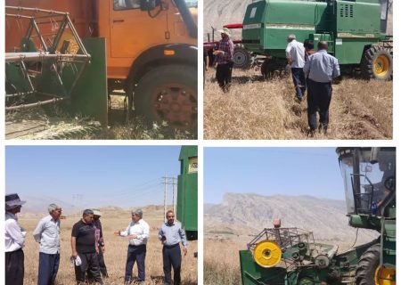 آغاز برداشت کلزا از مزارع جنوبی پلدختر