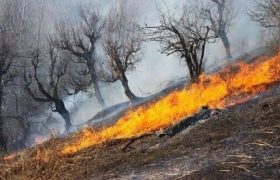 حریق اراضی طبیعی پلدختر مهار شد