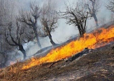 حریق اراضی طبیعی پلدختر مهار شد