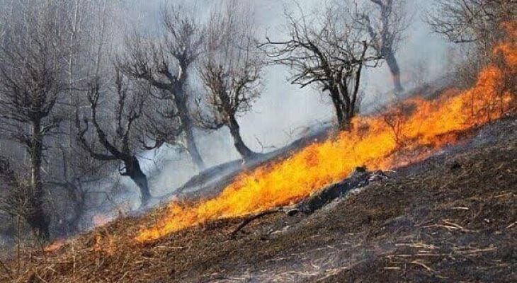 حریق اراضی طبیعی پلدختر مهار شد