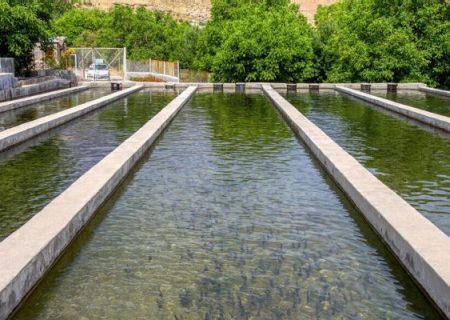 پلدختر قطب جدید پرورش ماهیان خاویاری ایران