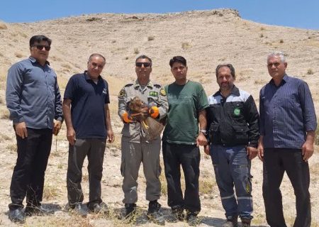 بازگشت سارگپه به آسمان پلدختر پس از تیمار و درمان