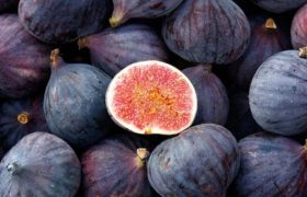 پیش‌بینی برداشت ۵۰هزار تن انجیر سیاه در پلدختر و معمولان