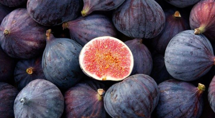 پیش‌بینی برداشت ۵۰هزار تن انجیر سیاه در پلدختر و معمولان
