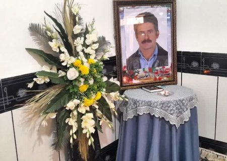 تکریم خانواده «شهید مهرداد آقایی» در پلدختر