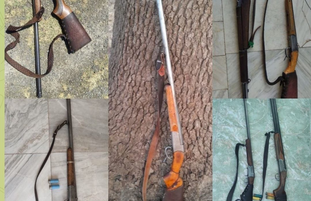 کشف و ضبط ۷ قبضه سلاح شکاری از متخلفان زیست‌محیطی در پلدختر