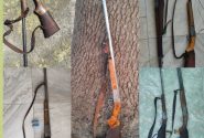کشف و ضبط ۷ قبضه سلاح شکاری از متخلفان زیست‌محیطی در پلدختر