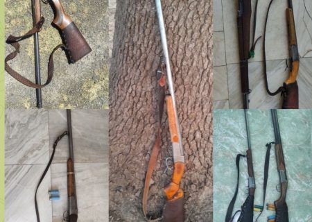 کشف و ضبط ۷ قبضه سلاح شکاری از متخلفان زیست‌محیطی در پلدختر