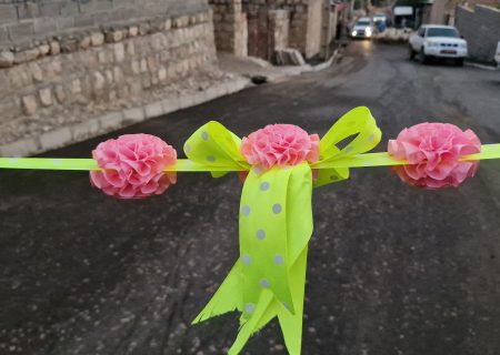 افتتاح ۲۲ طرح عمرانی در بخش مرکزی پلدختر