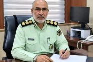 دستگیری سارق احشام در پلدختر با کشف ۱۳ رأس دام سرقتی