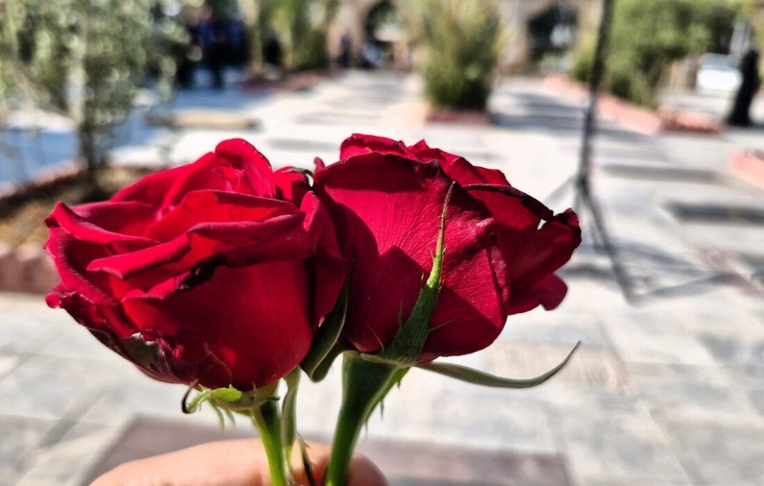 گلزار شهدای پلدختر گلباران شد